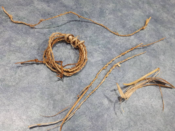 image shows cordage made from foraged white cedar inner bark